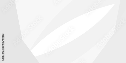 gray and white black color background abstract art vector