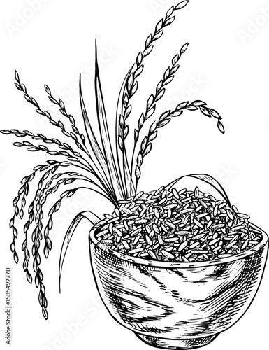 Rice or oats, wheat or rye in a wooden bowl, with rice stalks next to it. Black and white graphics, vector illustrations. Design element for menus, recipes, cookbooks. For banners, packaging, labels.