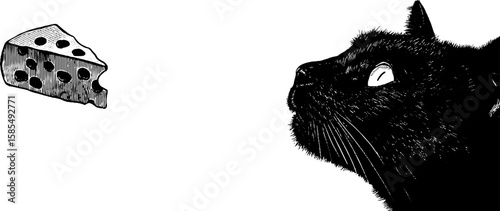 Curious cat staring at cheese engraved illustration set