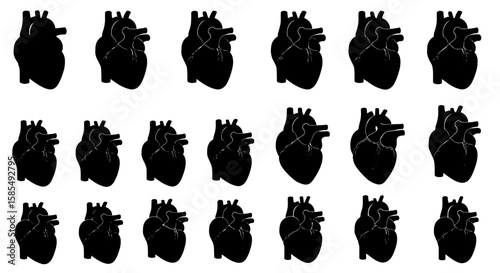 Progressive Human Heart Anatomy: A Visual Series of Black Silhouettes Gradually Revealing Intricate Internal and External Structures and Vascular Details on a White Background