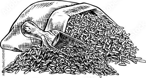 A linen bag of rice or oats, wheat or rye with a wooden scoop. Black and white graphics, vector illustrations. Design element for menus, recipes, and cookbooks. For packaging, labels, and more