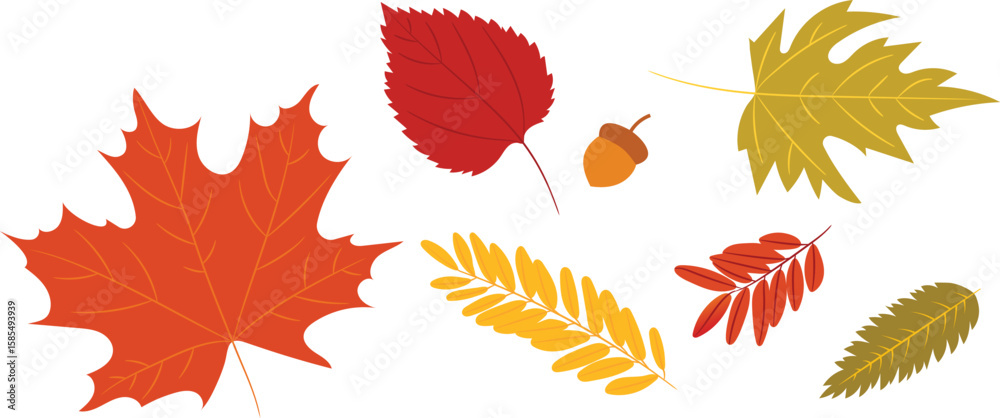 Fototapeta premium autumn leaves set