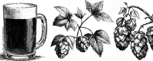 Engraved craft beer and hops illustration set for brewing designs