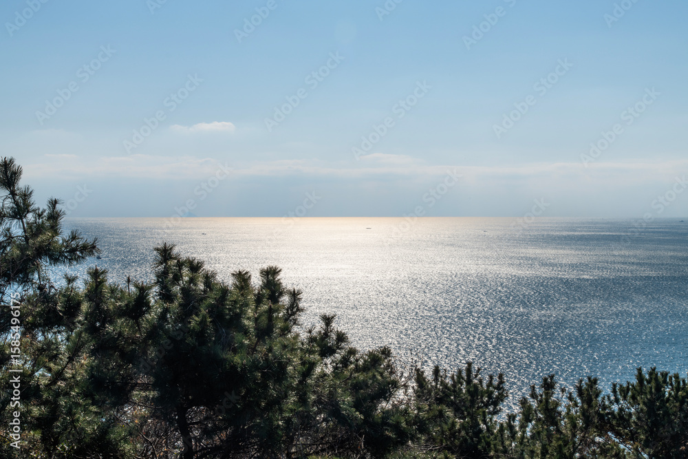 tranquil seascape with shiny sea and pine trees tranquil seascape with shiny sea and pine trees
