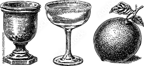 Engraved vintage margarita glass and citrus fruit design set for art and decor