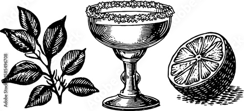 Classic margarita elements: engraved margarita glass, lime, and leaves illustration for vintage design