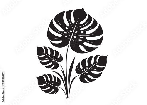 monstera leaf logo silhouette vector, tropical leaf logo icon silhouette vector, monstera deliciosa leaf silhouette vector design, jungle leaves monstera logo silhouettes vector on a white background