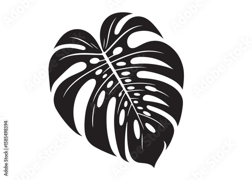 monstera leaf logo silhouette vector, tropical leaf logo icon silhouette vector, monstera deliciosa leaf silhouette vector design, jungle leaves monstera logo silhouettes vector on a white background