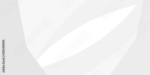 gray and white black color background abstract art vector