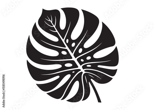 monstera leaf logo silhouette vector, tropical leaf logo icon silhouette vector, monstera deliciosa leaf silhouette vector design, jungle leaves monstera logo silhouettes vector on a white background