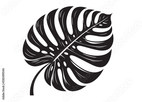 monstera leaf logo silhouette vector, tropical leaf logo icon silhouette vector, monstera deliciosa leaf silhouette vector design, jungle leaves monstera logo silhouettes vector on a white background