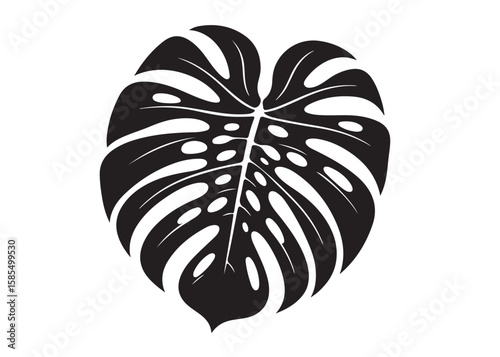 monstera leaf logo silhouette vector, tropical leaf logo icon silhouette vector, monstera deliciosa leaf silhouette vector design, jungle leaves monstera logo silhouettes vector on a white background