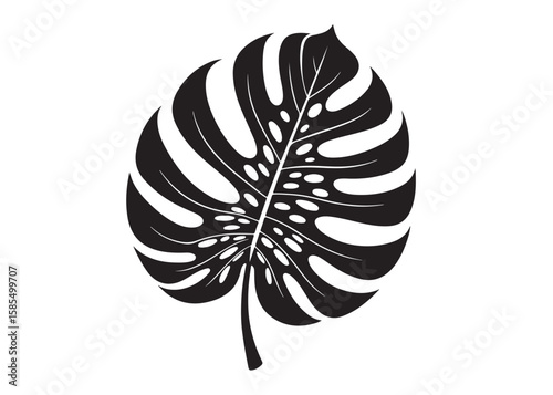 monstera leaf logo silhouette vector, tropical leaf logo icon silhouette vector, monstera deliciosa leaf silhouette vector design, jungle leaves monstera logo silhouettes vector on a white background
