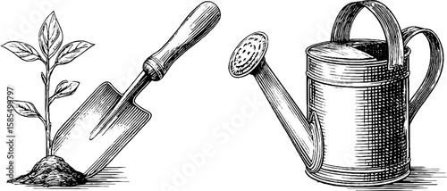 Vintage gardening tools and seedling illustration for plant care design