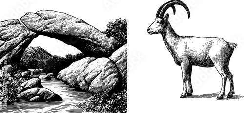 Engraved illustration of troll bridge and mountain goat for folklore design