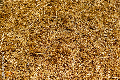 Fototapeta straw bale background