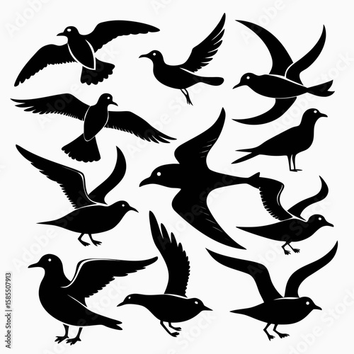 Vector set of flying bird silhouettes: a collection of wild animals like ducks, doves, pigeons, eagles, and hawks with detailed wings, perfect for nature illustrations