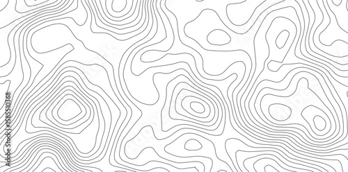 Topographic map pattern background vector. Abstract mountain terrain map background with abstract shape line texture. Design illustration for wall art, fabric, packaging, web, banner, wallpaper.
