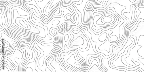 Topographic map pattern background vector. Abstract mountain terrain map background with abstract shape line texture. Design illustration for wall art, fabric, packaging, web, banner, wallpaper.
