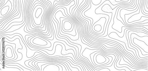 Topographic map pattern background vector. Abstract mountain terrain map background with abstract shape line texture. Design illustration for wall art, fabric, packaging, web, banner, wallpaper.
