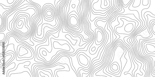 Topographical Map Abstraction: Intricate lines and contours delineate an abstract topographical map, offering a minimalist and modern representation of landscape and elevation changes.