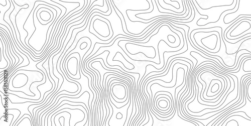 Topographic Map: A detailed, abstract representation of elevation contours, offering a captivating study in lines and patterns, perfect for design and informational use.