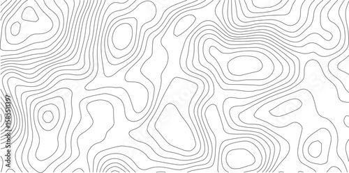 Contour Lines: A detailed illustration of a topographic map showcasing the intricate curves and elevations.