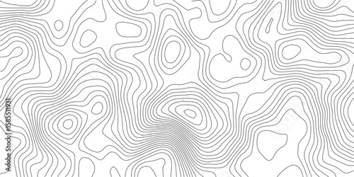 Topographical Contour Lines: A detailed illustration of topographical contour lines, showcasing the abstract representation of the earth's surface.