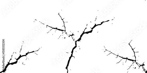 Fractal branch structure: A monochrome artwork showcases the intricate, fractal patterns of tree branches, conveying the beauty and complexity found in natural designs. 