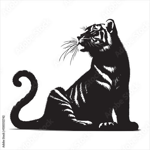 siting tiger face Silhouette Vector Art, and Graphic, vector black color silhouette , solated white background 