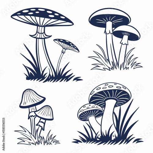 set of mushrooms