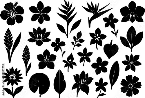 Collection of silhouetted tropical flowers and leaves including hibiscus orchid bird of paradise lotus and ginger blooms
