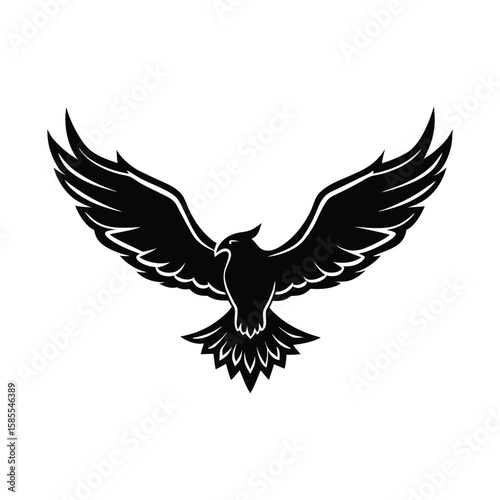 Black eagle soaring wings spread wide silhouette