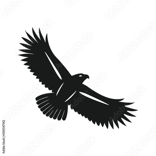 Black silhouette eagle soaring wings spread white bird