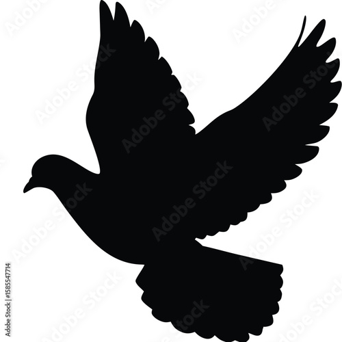 silhouette of dove