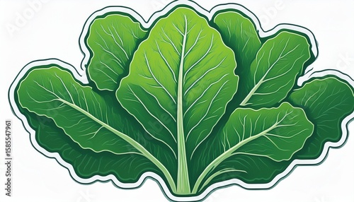 collard greens logo isolated on a white white background