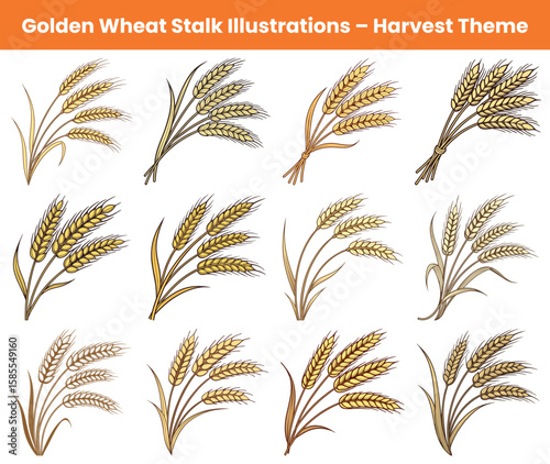 Twelve Golden Wheat Stalk Illustrations, Different Harvest Themed Arrangements, Art on White Background