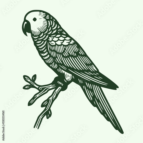 Line art parrot perched on a branch, black outline, solid green fill,white background