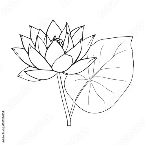 Lotus Flower Line Art: Elegant Lotus flower depicted in a minimalist black line drawing, accented by a solitary leaf symbolizing purity and rebirth.