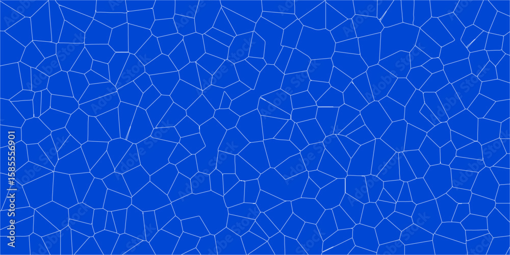 Fototapeta premium Flow of Contours