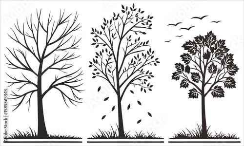 Bare tree leafy tree flying birds nature