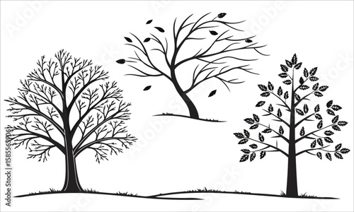 Silhouettes of trees and falling leaves branches