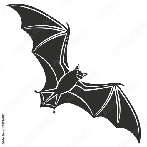 Dark Silhouette of a Flying Mammal with Large Wings Spread Wide Open