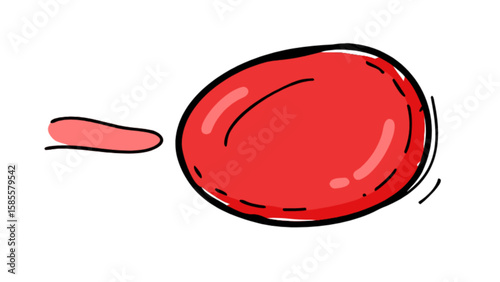 Red blood cell illustration for medical biology educational resources and hematology study guide material