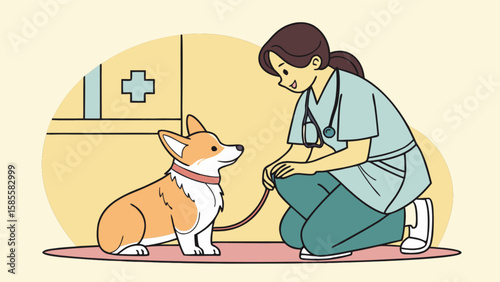 Veterinarian checkup corgi dog pet care animal health clinic medical exam professional vet service