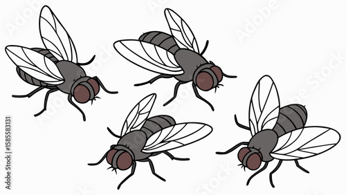 Cartoon flies illustration vector image for design projects and educational resources about insects and pests