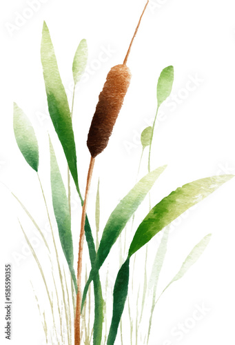 green leaves on white background