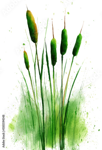 green paint splashes
