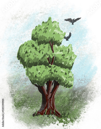 tree