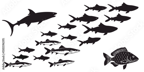 Diverse school of fish silhouettes swimming together isolated on white background